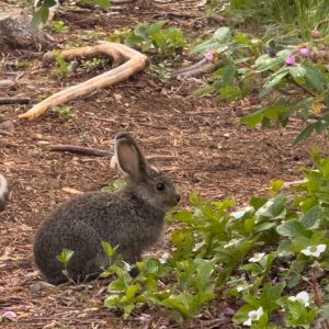 Generic placeholder image